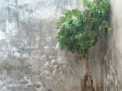 -VOYAGE COFFEE(北锣鼓巷店)