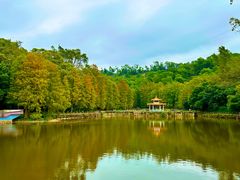 -深圳仙湖植物园