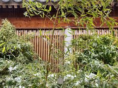 -曲廊院(东四十一条店)