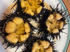 -海胆小馆(东北水饺·春柳店)