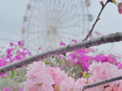 -观澜湖生态运动公社