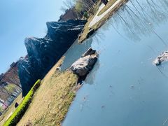 -武清南湖绿博园