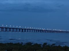 -宝安西湾红树林湿地公园