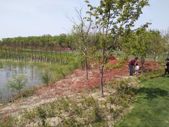 -昆山城市生态森林公园