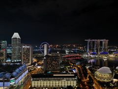 -新加坡瑞士史丹福酒店