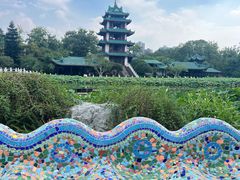-桂湖森林公园