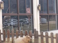 -南京汤山紫清湖生态旅游温泉度假区