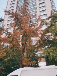 -宜肤清颜专业祛痘问题肌修护