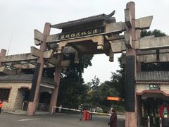 -张坝桂圆林公园