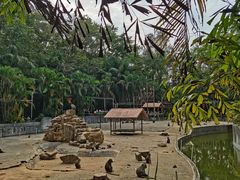-广东茂名森林公园