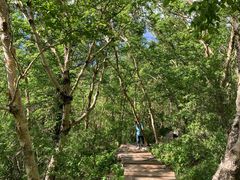 -白草畔自然风景区