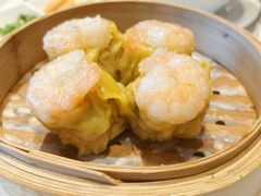 -春满园·早茶·粤菜·宴会(前海店)