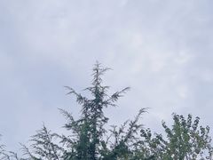 -亚沙水生植物园