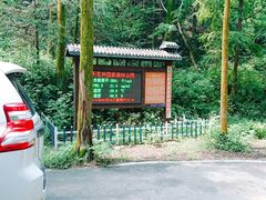 -天花井景区