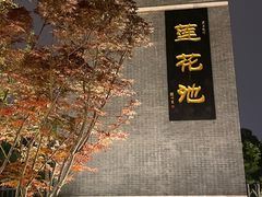 -莲花池公园
