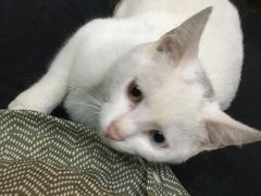 -长兴菜馆(高桥店)