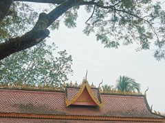 -西双版纳傣族园