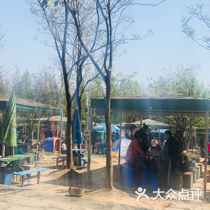 顾村公园烧烤区