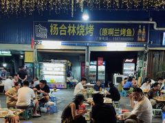 -杨合林啊兰烤鱼