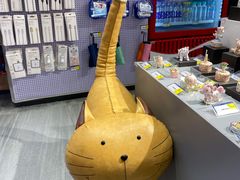 -银川河东国际机场