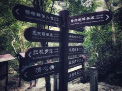 -清溪森林公园