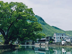 -鹿亭中村