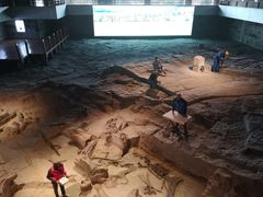 -自贡恐龙博物馆