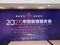 -圣爵菲斯大酒店(长沙世界之窗店)