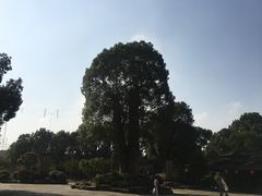 -韩湘水博园