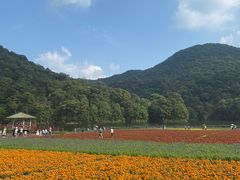 -广州市石门国家森林公园