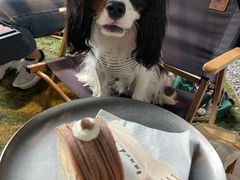 -J Create城市露营咖啡·简餐·宠物(上海动物园店)