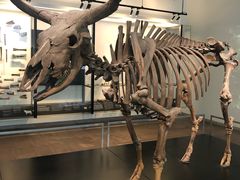 -丹麦国家博物馆