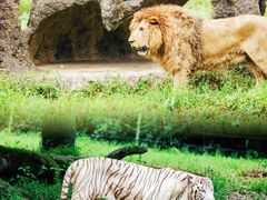 -杭州野生动物世界