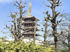 -浅草寺