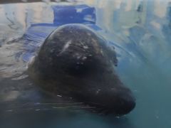 -常州海昌海洋探索馆
