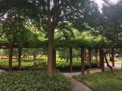 -徐家汇源景区-衡山公园