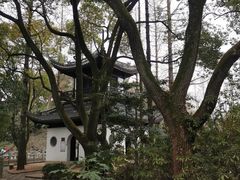 -汇龙潭