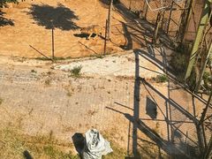 -青藏高原野生动物园