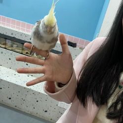 -Moni星球萌宠·小马宝莉·灵蛇·高端高阶全萌宠互动体验俱乐部(红豆国际广场店)