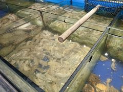 -渔家大院·地道威海菜(石岛店)