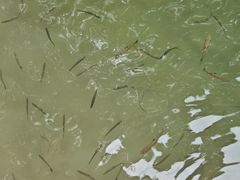 -广州市流溪河国家森林公园