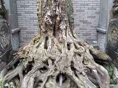 -龙潭水乡
