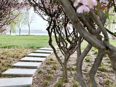 -郑东新区龙湖公共艺术中心