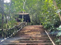 -西双版纳原始森林公园