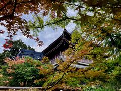 -龙华寺