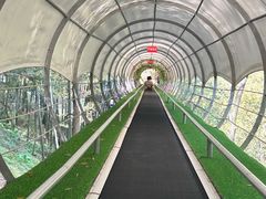 -藏龙百瀑风景区