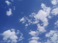 -同州传统面馆(东大街)