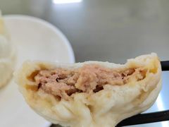 纯肉-四平包子铺