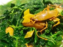 上汤桑叶-花溪雨·森林餐厅(石基店)