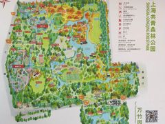 -上海共青森林公园